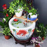 沐欽景德鎮手繪陶瓷魚(yú)缸大缸水缸陽(yáng)臺睡蓮荷花缸室外庭院古法養金魚(yú)缸 圓口紅運蓮年單缸+白花瓶藍陶罐 40x40x25cm 曬單實(shí)拍圖