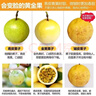 廣西欽蜜9號黃金百香果萬(wàn)澄當季新鮮大果黃皮果奶茶店水果 【小果5斤】約40-55個(gè) 曬單實(shí)拍圖