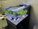 森森（SUNSUN）原生態(tài)溪流缸魚缸造景家用原生缸客廳超白玻璃底濾魚缸包安裝 靜謐黑-專業(yè)款 升級(jí)底濾（雙重滴濾盒） 0.8米長47.6cm寬40cm缸高+85cm柜高 曬單實(shí)拍圖
