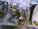 【火鍋菜】葉菜拼盤500g(菠菜葉+蒿子稈+生菜葉+娃娃菜) 曬單實(shí)拍圖