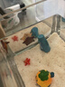 寄居蟹海星專用海鹽海缸海水養(yǎng)殖水族鹽養(yǎng)魚(yú)螃蟹貝類蝦珊瑚沙蟹鹽 水族專用鹽【買(mǎi)一送一】到手兩包 曬單實(shí)拍圖