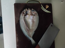 黃小漁寧德黃魚鲞400g/2條 三去大黃魚黃花魚生鮮 海鮮水產(chǎn)燒烤夜宵魚類 曬單實拍圖