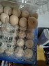 七鮮 安心無(wú)抗鮮雞蛋30枚1.59kg 曬單實(shí)拍圖