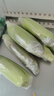 京鮮生&佳農寶菜山東水果玉米單根275g+鮮甜多汁4-7根凈重4.6斤源頭直發(fā) 曬單實(shí)拍圖