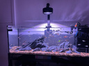 樂迪魚缸燈72W爆藻燈原生態(tài)溪流缸燈金魚出苔 NX扁燈  黑色80W 【五路可調(diào)光譜】 曬單實(shí)拍圖