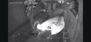 HIKVISION ?？低曁?yáng)能攝像頭免插電室外戶(hù)外4G終身免充值流量AOV家用監控器360度無(wú)死角帶夜視手機遠程 曬單實(shí)拍圖