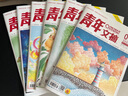 2025年青年文摘4-6月雜志期刊打包發(fā)出共6期 初高中生滿(mǎn)分作文素材勵志文學(xué)文摘期刊 曬單實(shí)拍圖