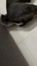 藍氏狗糧金毛柯基拉布拉多泰迪全犬種成犬幼犬多肉蔬菜 30kg 曬單實(shí)拍圖