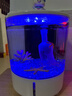 二郎漁桌面生態(tài)魚缸聲控?zé)艄膺^濾制氧一體機(jī)迷你斗魚家用水族箱海魚缸 【氣球小熊】魚缸+造景+聲控?zé)艄?全套專業(yè)級過濾 曬單實拍圖
