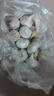【百萬單爆品】紫白皮蒜水果大蒜超市生鮮蔬菜調(diào)料即食蒜 大蒜 500g 單果3.5-5cm 曬單實(shí)拍圖