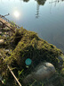 垂弦（ChuiXian） 釣魚水草刀 割草刀割水草刀漁具垂釣用品 折疊不銹鋼水草錨刀 不銹鋼水草刀（帶15米長繩） 曬單實拍圖