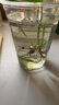 紐強(qiáng)嬰幼兒紐強(qiáng)精華潤(rùn)膚霜潤(rùn)膚乳滋潤(rùn)保濕補(bǔ)水童霜黃紐強(qiáng)藍(lán)紐強(qiáng)綠紐強(qiáng) 200g 1支 黃色精華霜(倍潤(rùn)型) 曬單實(shí)拍圖