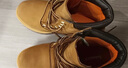 添柏嵐（Timberland）官方踢不爛女鞋黃靴馬丁靴戶外防水偏小|8168R 8168RW/小麥色 TB1 僅批次不同 39 鞋內(nèi)長(zhǎng)：25CM 曬單實(shí)拍圖