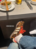阿迪達斯 （adidas）SAMBA三葉草七夕禮物送女友休閑鞋女鞋豹紋棕色JI2734 37 曬單實拍圖