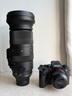適馬（SIGMA） 適馬 60-600mm F4.5-6.3 DG DN Sports 全幅超長焦 索尼E卡口 官方標(biāo)配 曬單實拍圖