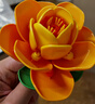 費(fèi)米兒童拼裝積木玩具七夕情人節(jié)禮物花野漫游記1156粒S43005 曬單實(shí)拍圖