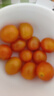 京喜加夏日陽(yáng)光小番茄黃色迷戀圣女果即食水果小柿子現(xiàn)摘現(xiàn)發(fā)減肥 黃色圣女果一斤裝 曬單實(shí)拍圖