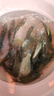 進(jìn)口原絲納米線(xiàn)水晶線(xiàn)主線(xiàn)速切水釣魚(yú)線(xiàn)子線(xiàn)耐磨超柔軟漁線(xiàn) 金武士子線(xiàn)0.3號 1卷 曬單實(shí)拍圖