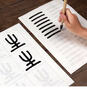 篆書(shū)基礎筆畫(huà)筆順描紅臨摹初學(xué)者練字宣紙字帖鄧石如千字文篆書(shū) 篆書(shū)筆畫(huà)53張 曬單實(shí)拍圖
