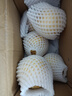 新緣云南石林新鮮現(xiàn)摘人參果孕婦特大果單果120克起-新緣 石林人參果單果120克起帶箱1斤 曬單實(shí)拍圖