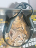 南卡（NANK）Runner 3骨傳導(dǎo)藍牙開放式耳機不入耳防水防汗運動跑步無線雙耳降噪掛耳式運動耳機 runner 3 深灰色 曬單實拍圖