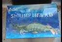 東上御品 國產(chǎn)青島大蝦 特大號白蝦 2030規格 凈重3斤 盒裝活凍 曬單實(shí)拍圖