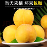 蒙陰黃桃新鮮水果當季整箱孕婦時(shí)令水果黃毛蟠桃脆甜桃子 凈重4.5斤大果【單果150g+】 曬單實(shí)拍圖