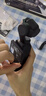 大疆 DJI Osmo Pocket 3 一英寸口袋云臺相機 OP靈眸手持數碼相機 旅游攝影攝像 直播vlog拍攝 長(cháng)續航套裝 官方標配 曬單實(shí)拍圖