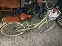 飛鴿（FLYING PIGEON）自行車成人通勤車自行車學(xué)生單車成人自行車通勤自行車女士自行車 標(biāo)配青青黃|單速|(zhì)輻條輪+禮包 24寸適合150-170cm 曬單實(shí)拍圖