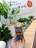 五鼠 FIVEMICE適用蘋果17promax手機(jī)殼iphone17pro新款硅膠馬里奧樂(lè)高17air全包防摔卡通男外殼女軟保護(hù)套 機(jī)械馬里奧撞色-古董白】液態(tài)硅膠_鏡頭全包 iPhone 17 Pr 曬單實(shí)拍圖