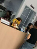 貝漢美（BHM）發(fā)財樹新店開業(yè)擺件高檔招財貓送人開張搬家喬遷禮物辦公室裝飾品 【京倉速發(fā)】精美禮盒- 財源廣進 曬單實拍圖