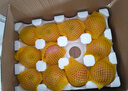 京鮮生山東煙臺紅富士 蘋果 凈重5斤單果200g+ 新鮮水果 源頭直發(fā) 曬單實(shí)拍圖