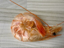 海鮮頌即食大蝦干烤蝦干蝦仁干海蝦干海產(chǎn)干貨零食干蝦海鮮特產(chǎn)源頭直發(fā) 蝦干XL500g*3（禮盒裝） 曬單實(shí)拍圖