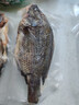 翔泰海南三去羅非魚/海南鯛1400g/共4條免處理 生鮮魚類 海鮮水產(chǎn)  曬單實(shí)拍圖