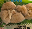 安井 魚籽福袋 150g/包 鎖鮮裝火鍋麻辣燙關東煮食材 速食熟食丸子 曬單實拍圖