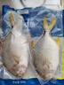 翔泰 海南金鯧魚(yú)凈重900g 2條裝  魚(yú)類(lèi)生鮮 火鍋食材 海鮮水產(chǎn) 中秋 曬單實(shí)拍圖