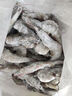 北海灣 蝦 青島大蝦鮮活冷凍基圍蝦 蝦類(lèi) 海鮮水產(chǎn)生鮮白蝦青蝦海蝦對(duì)蝦 氣凍大蝦 3斤(凈重)  15-17cm【單只凍 無(wú)冰衣】 曬單實(shí)拍圖