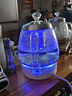 半球玻璃長嘴燒水壺家用功夫茶煮開水壺小電茶壺透明保溫藍(lán)光電熱水壺泡茶專用 1L 316不銹鋼發(fā)熱盤玻璃壺+茶葉網(wǎng) 曬單實拍圖