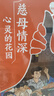 萬(wàn)物復書(shū)25秋五年級穿越賀蘭山一百個(gè)孩子的中國夢(mèng) 可愛(ài)的中國經(jīng)典彩繪版 非法智慧名家名篇版 小兵張嘎名家名繪版 慈母情深·心靈的花園 夜空中最亮的星正版贈導讀單 五年級6本組合+導讀單 曬單實(shí)拍圖