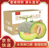 京鮮生蜜蜂授粉牛三蜜瓜網(wǎng)紋瓜單果1.5斤起凈重4.5-5斤 2-3粒裝源頭直發(fā) 曬單實(shí)拍圖