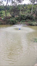 OIMG魚(yú)塘增氧機大型大功率制氧養殖增氧泵魚(yú)池充氧機打氧機養魚(yú)氧氣泵 不銹鋼+定時(shí)3畝30米線(xiàn)紫銅1.8kw 曬單實(shí)拍圖