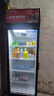 【200W+購】飲料柜商用立式冰箱啤酒柜超市飯店保鮮柜冷藏展示柜 單門(mén)/紅黑/風(fēng)直冷/帶鎖/循環(huán)速冷 曬單實(shí)拍圖