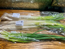 蘸醬小蔥100g 曬單實(shí)拍圖