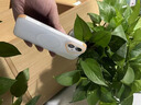 雅思戀 適用蘋果17手機(jī)殼透金散熱磁吸iphone17promax新款細(xì)圈磨砂16pro高級感15/14小眾17air四角防摔 【透金】 iphone  Air 曬單實(shí)拍圖