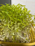 施華蔻（Schwarzkopf）怡然染發(fā)霜4.1/9亞麻褐棕 染發(fā)劑植物染發(fā)膏亞麻棕自己染男女蓋白 曬單實(shí)拍圖