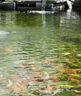 新勢力魚池過濾器系統(tǒng)凈化水循環(huán)室外庭院底濾滴流不銹鋼過濾設(shè)備大水泵 C800瀑布過濾凈水套餐【適用30-50方】 曬單實(shí)拍圖