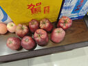 沐小七果蔬甘肅天水花牛粉面蘋(píng)果 【順豐極兔速運-可送貨上門(mén)】水果送禮蛇果 S+稀有果王（單果約80mm+） 5斤裝【80%選擇-超劃算】?jì)?.5斤* 曬單實(shí)拍圖