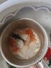金魚觀賞魚活體小金魚冷水魚淡水好養(yǎng)耐活貨國(guó)風(fēng)純種魚苗獅子頭魚 4-5CM隨機(jī)金魚5條 曬單實(shí)拍圖