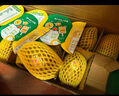 佳沛（zespri）新西蘭陽光金果10個裝單果重約85-103g 水果 獼猴桃 源頭直發(fā) 曬單實拍圖