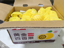京鮮生廣西欽蜜9號黃金百香果3斤凈重45-60g /24-36個生鮮水果 源頭直發(fā) 曬單實拍圖